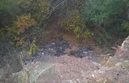В Ростовской области чиновники «убрали» мусор с помощью фотошопа