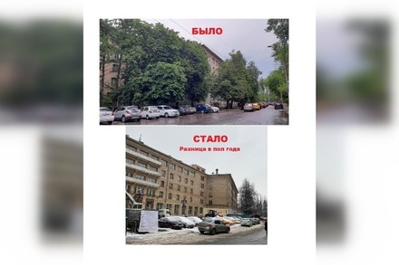 Жители московского района Марфино пожаловались на незаконную вырубку деревьев под новый ЖК