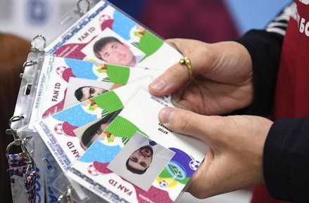 Совфед одобрил безвизовый въезд в Россию по паспорту болельщика до конца года