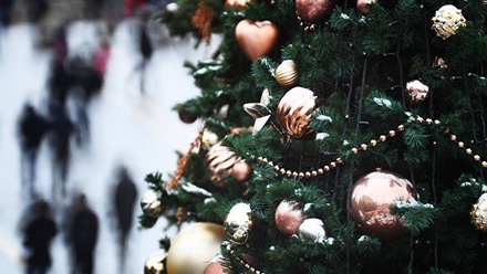 Уральского чиновника уволили из-за новогодней ёлки