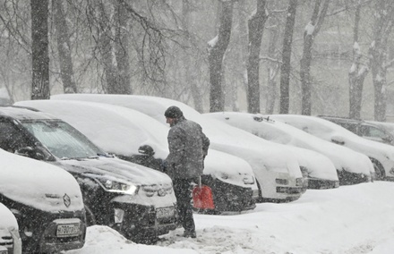 Высота снежного покрова в Москве за ночь увеличилась на восемь сантиметров