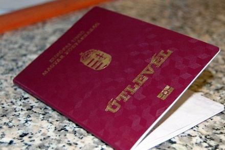 Киев обвинил Венгрию в пророссийской позиции за выдачу паспортов в Закарпатье