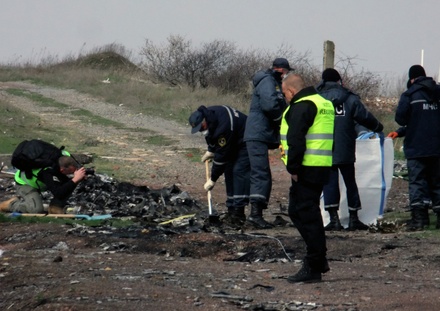 В Совфеде связали вынесение решения по делу MH17 со спецоперацией России на Украине