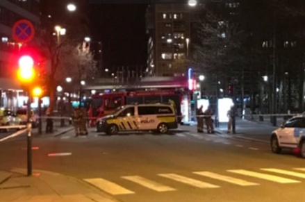 Подозреваемый по делу о бомбе в Осло гражданин РФ арестован на две недели