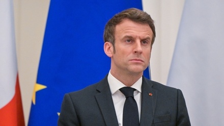 Объявлены итоги подсчёта голосов в первом туре выборов президента Франции