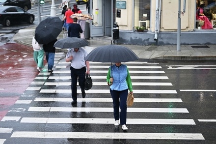Власти Москвы предупредили о сильном дожде в четверг