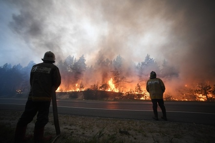 В WWF России спрогнозировали рекорд по общей площади лесных пожаров в стране в этом году