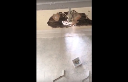 В классе кузбасской школы обрушился потолок