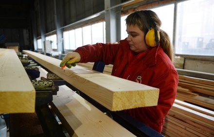 СМИ: в России возник дефицит древесины для строительства домов