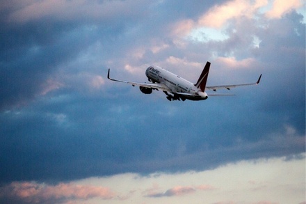 Рослесинфорг: санкции против РФ привели к росту выбросов от самолётов на 25%