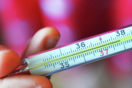 Вирусолог призвал россиян не опасаться вируса гриппа H3N2