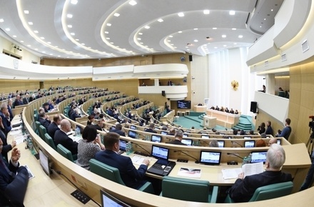 Совфед готов рассмотреть отмену предоставления гражданства вступившим в ИГ лицам