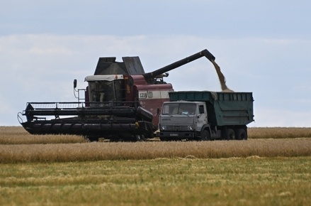 Фермер назвал сроки избавления российской сельхозотрасли от импортозависимости: годы и даже десятилетия