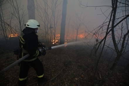 В Брянской области готовы к возможному распространению чернобыльского пожара