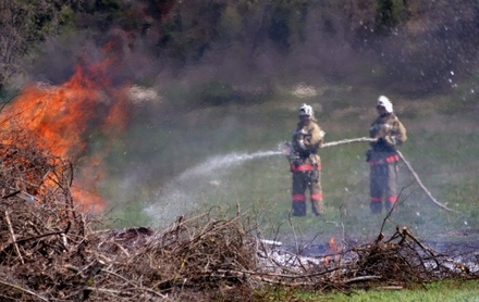 В Бурятии за трое суток площадь лесных пожаров возросла в 11 раз