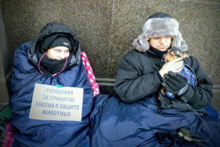 Зоозащитники проводят голодовку у Госдумы