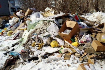 Власти Бийска отчитались о ликвидации мусорного коллапса 