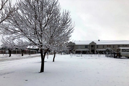 СМИ сообщают о выпавшем снеге в западных районах ЮАР
