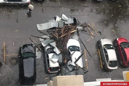Следователи проводят проверку по факту гибели людей из-за урагана в Москве 