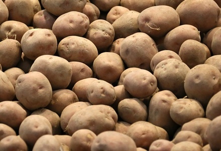 Российские туристы рассказали о ввозе картошки из Финляндии в обход ограничений