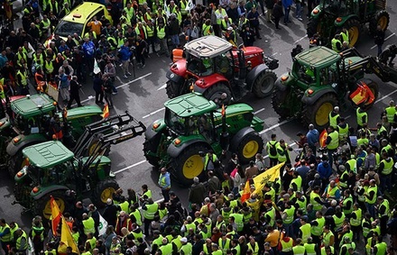 В Мадриде начались столкновения протестующих фермеров с полицейскими