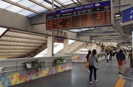 Движение поездов в Тель-Авиве приостановили из-за пропавшего кота