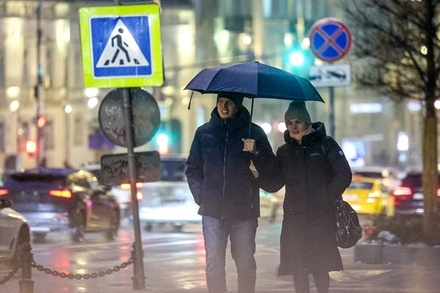 Вирусолог предупредил об активном распространении патогенов в период оттепели