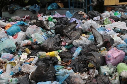 В Кремле следят за ситуацией с закрытием мусорного полигона в Балашихе