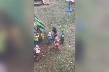 В Ярославле воспитанники детского сада избили свою одногруппницу