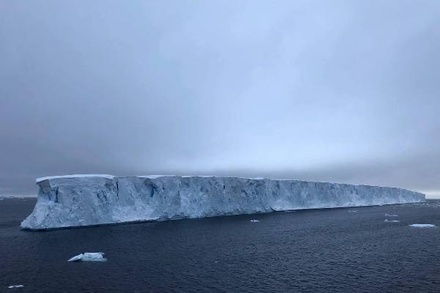Крупнейший в мире айсберг А23а оказался под угрозой разрушения