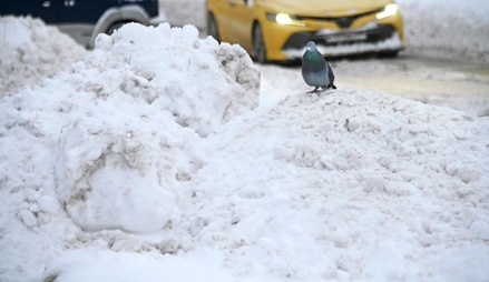 Эксперт рассказал о плюсах и минусах сильных снегопадов в Москве