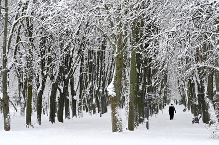 В Гидрометцентре назвали срок возвращения «зимнего режима погоды» в Москву