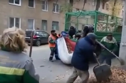 СКР закрыл дело против дворников, собиравших листья в российский флаг