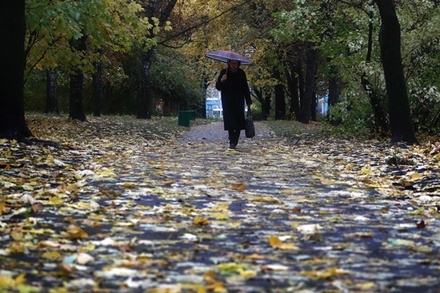 Синоптики прогнозируют возвращение тепла в Москву 