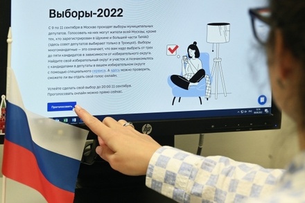 Москалькова: дистанционная форма голосования прижилась в России