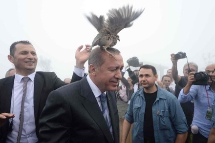Куропатка атаковала президента Турции