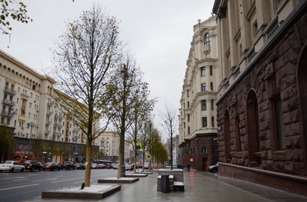 В центре Москвы на Тверской улице зацвели липы