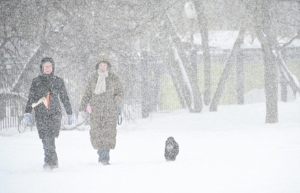 Синоптик объяснила природу московских снегопадов