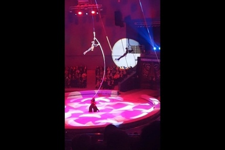 В цирке во Владивостоке разбилась акробатка