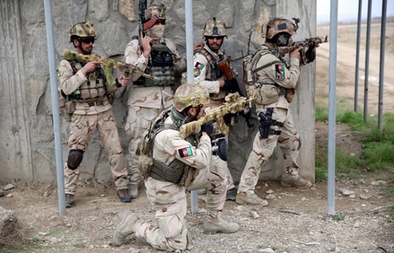 В Госдуме рассказали о финансовой выгоде в военной помощи России Афганистану