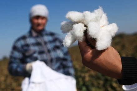 Текстильщики допустили подорожание хлопковой одежды в России на 15% 