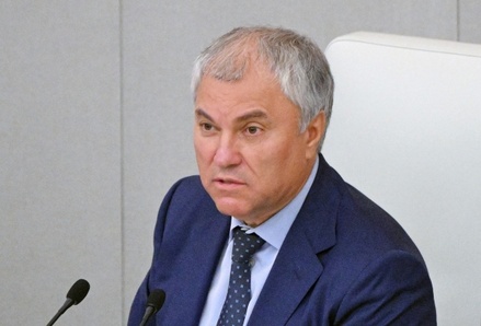 Вячеслав Володин предложил создать комиссию по вопросам миграционной политики