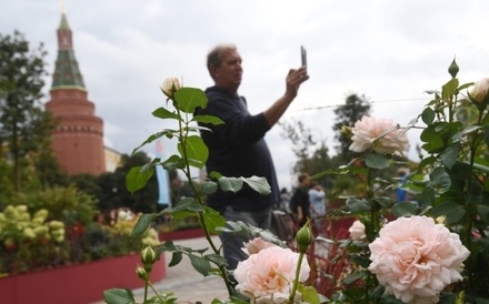 Фестиваль «Цветочный джем» начнётся в столице 22 июля