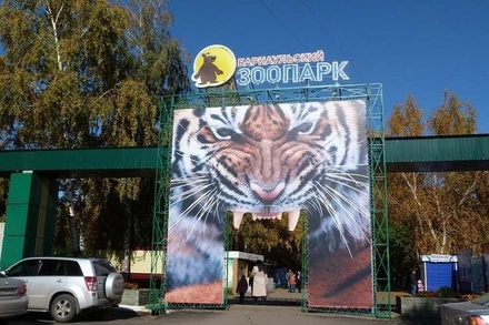 СК возбудил уголовное дело после нападения волка на ребёнка в зоопарке Барнаула