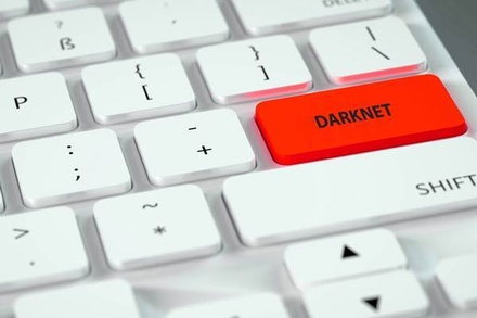 «Известия» сообщили о продаже данных в Darknet 20 тысяч клиентов Сбербанка