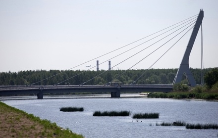 Жители Санкт-Петербурга потребовали отменить решение о мосте Ахмата Кадырова