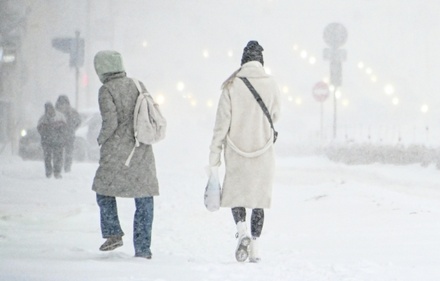 Власти Москвы предупредили горожан о сильном снегопаде