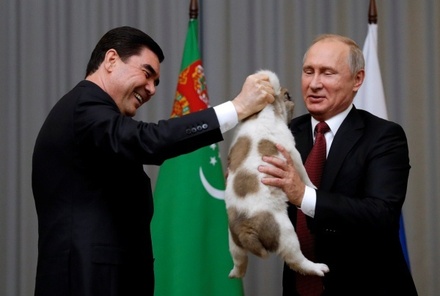 Собаковод рассказал о независимом характере подаренного Путину алабая