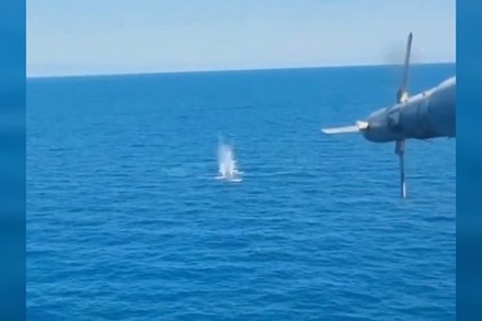 В Минобороны отчитались об уничтожении трёх безэкипажных катеров ВМС Украины