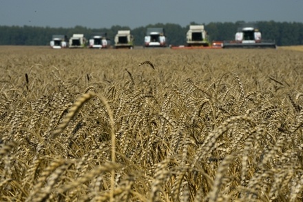 В Гидрометцентре анонсировали хороший урожай озимых в ЦФО в 2022 году
